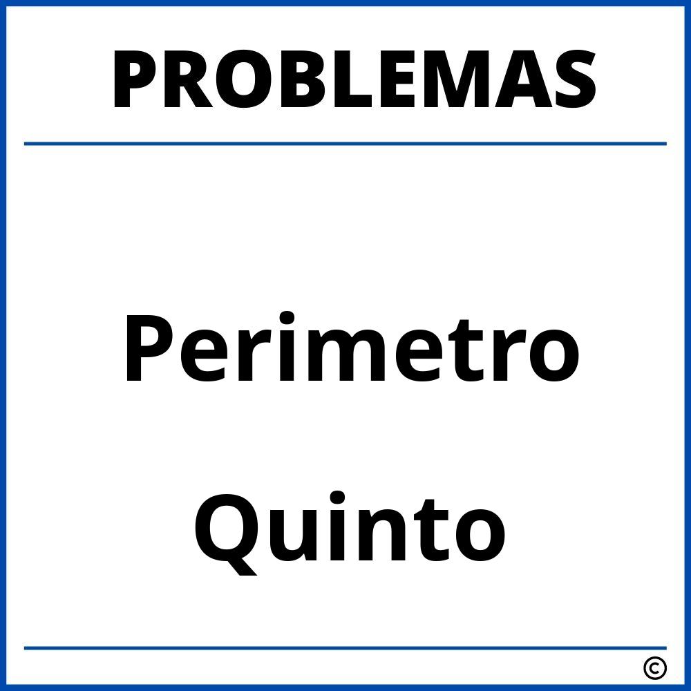 Problemas de Perimetro para Quinto Grado de Primaria